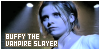  Buffy the Vampire Slayer